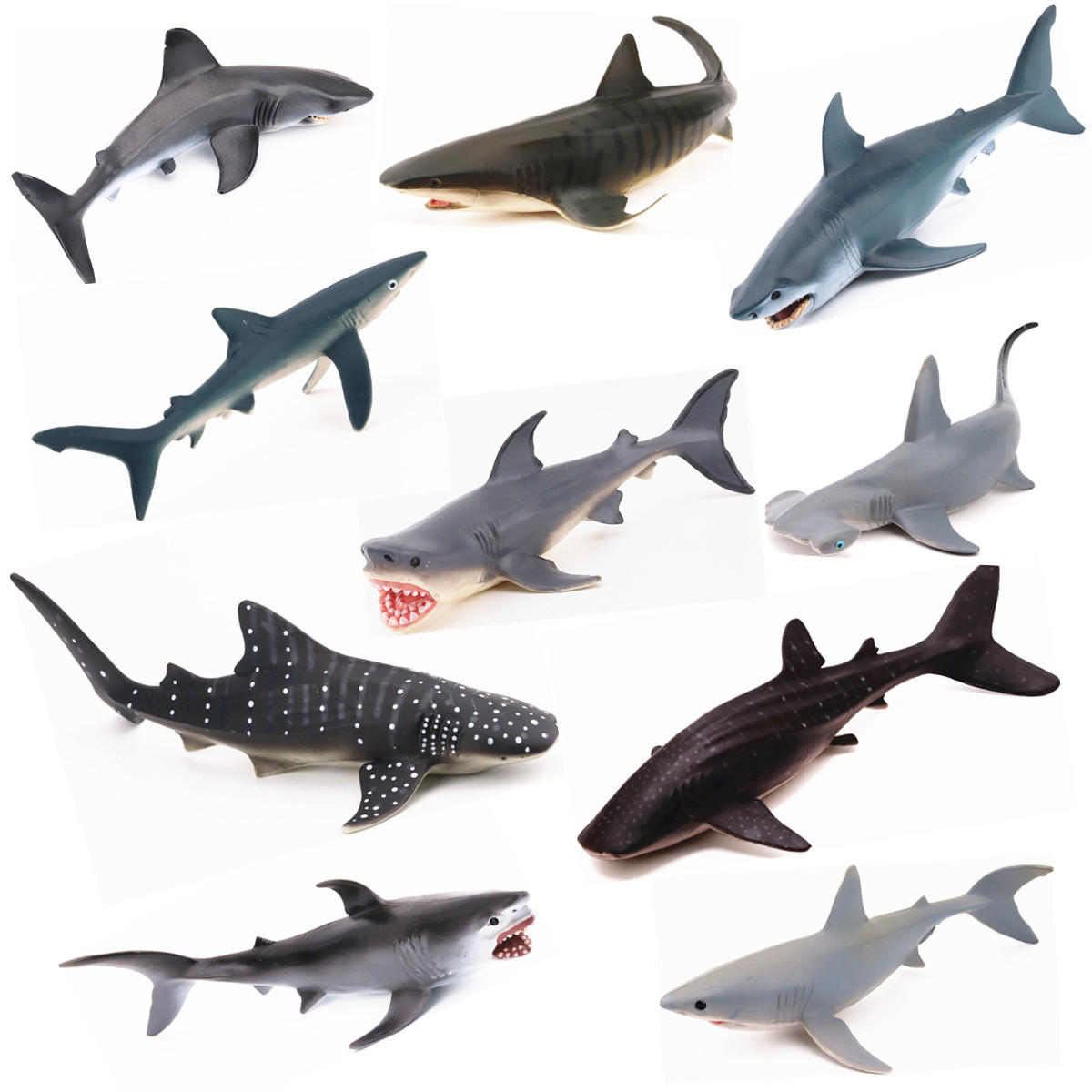 واقعية المحيط الحيوان نموذج البحرية الحيوان سلسلة الحوت القرش الصلبة علوم التعليم لغز اللعب
