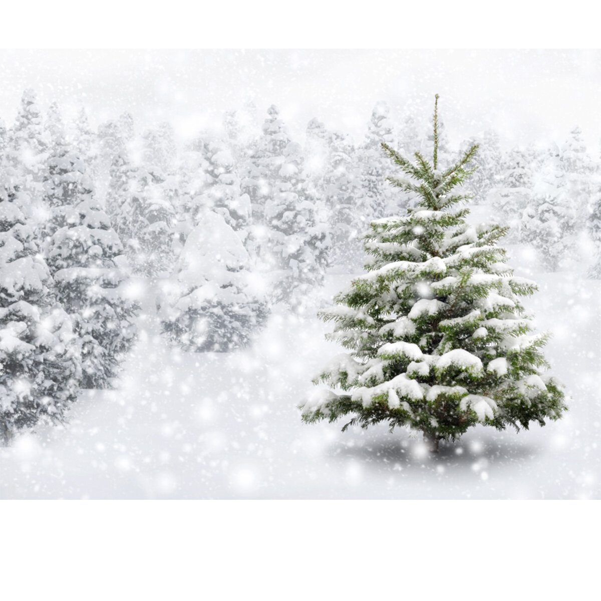 4.1x2.6ft 7x5ft Christmas Snow Scene Photography Backdrop 3D Printed Vinyl Photo Studio Background C