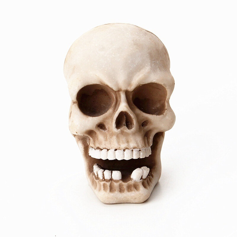 Skull Head Single Wall Hook Halloween Deco Resin Skeleton Door Shaped Walls X7D8 