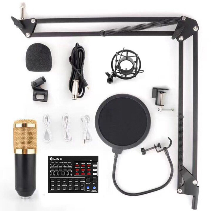 

H8 Sound Card Condenser Microphone Mixer for Live Broadcast Computer Recording K Song Microphone Stand Live Broadcast Eq