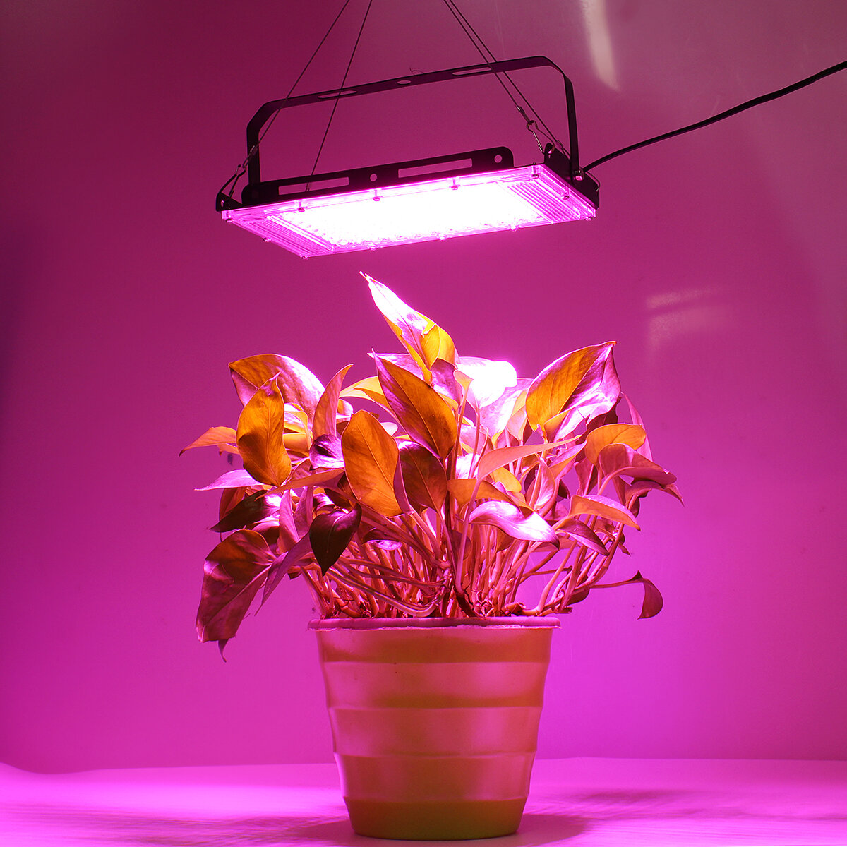 50W 100W LED Grow Light Full Spectrum Greenhouse Indoor Plant Vegetables Growing Lamp