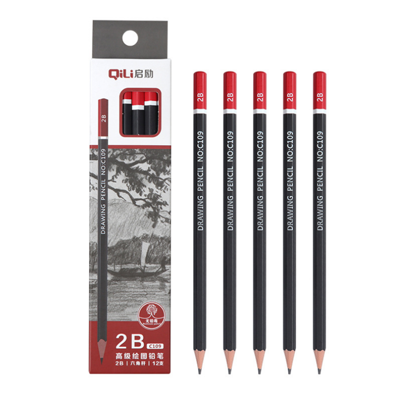 12 stuks 2B / 3B / 4B / 5B Art Pencil Soft Medium Hard Carbon Pen Office School Tekenpotlood