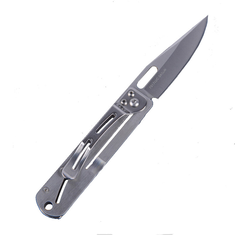 Sanrenmu 7017 Mini coltello pieghevole da tasca di 16,3 cm, coltello tattico da sopravvivenza per campeggio all'aperto
