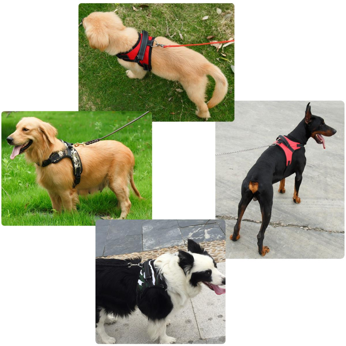 Pet Control Harnas Verstelbare hond en kat Soft Mesh Walk Collar Veiligheidsgordel Vest