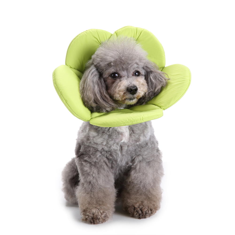 Soft Sponge Flower Shape Dog Cat Collar Pet Elizabeth Circle Wound Healing Medical Anti-Bite Collar