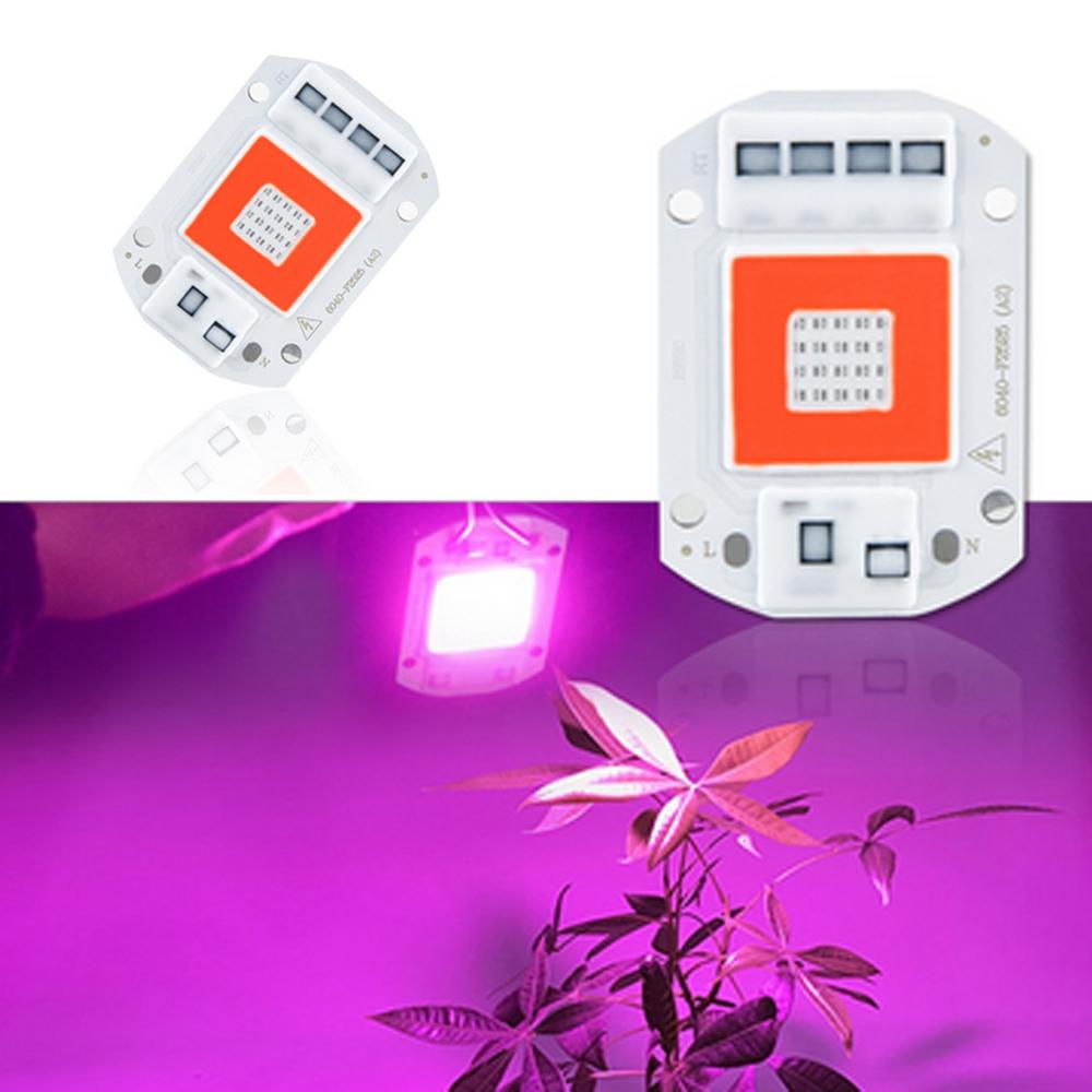AC110V/AC220V 20W 30W 50W Full Spectrum Red & Blue LED Grow Light Chip for Indoor Plants Flowers