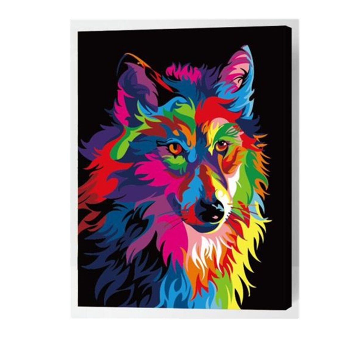 Olieverf Set Nummer Kit Multicolor Wolf DIY Pigment Schilderen Art Hand Craft Tool