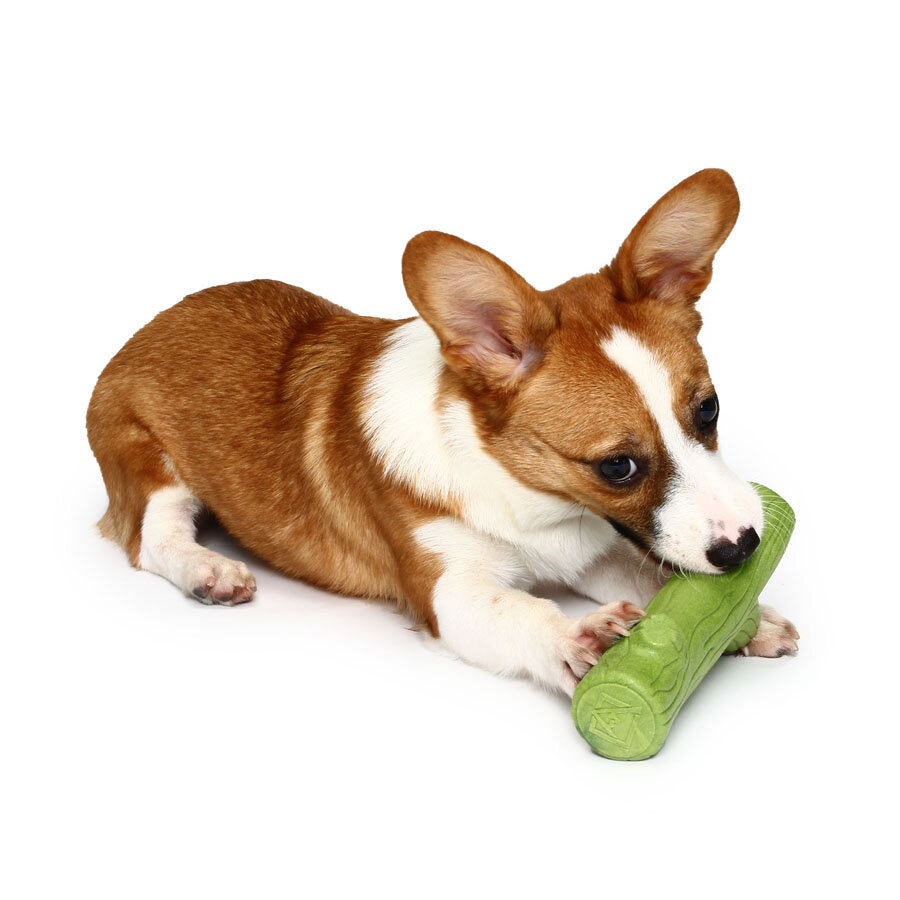 Lovely Branch Solid Molar Wearable Pet Toys Training dog Props Enhance the Intelligence Dog Toys