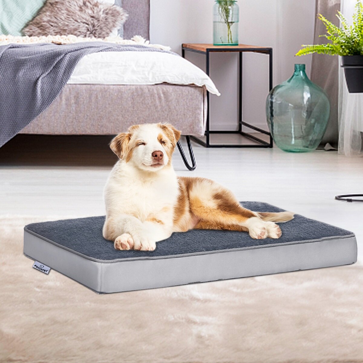 Focuspet Orthopaedic Dog Pad m 74 * 46 * 7.5cm, Detachable Dog Basket, Washable Non Slip Dog and Cat Bed, Orthopaedic Do
