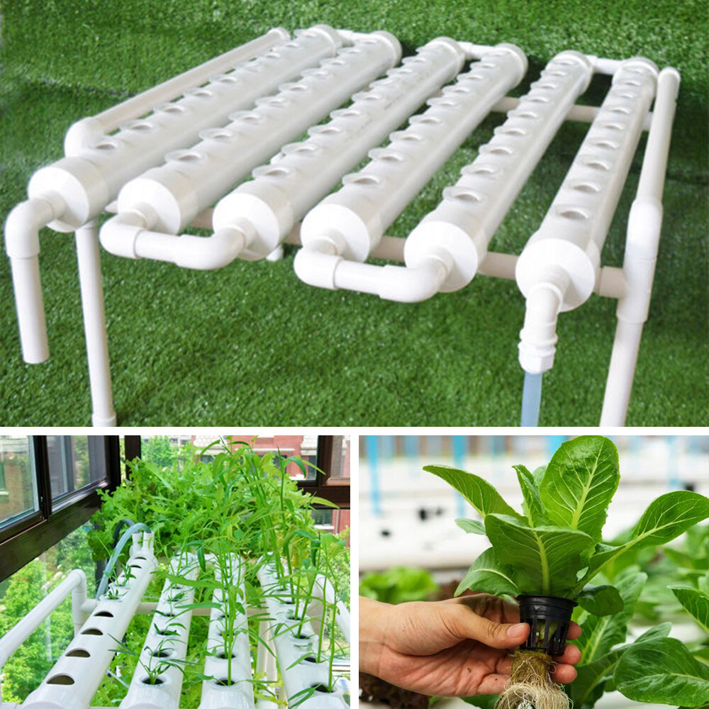 110-220V 54 Holes Hydroponic Piping Site Grow Kit Deep Water Culture Planting Box Gardening System Nursery Pot Hydroponi