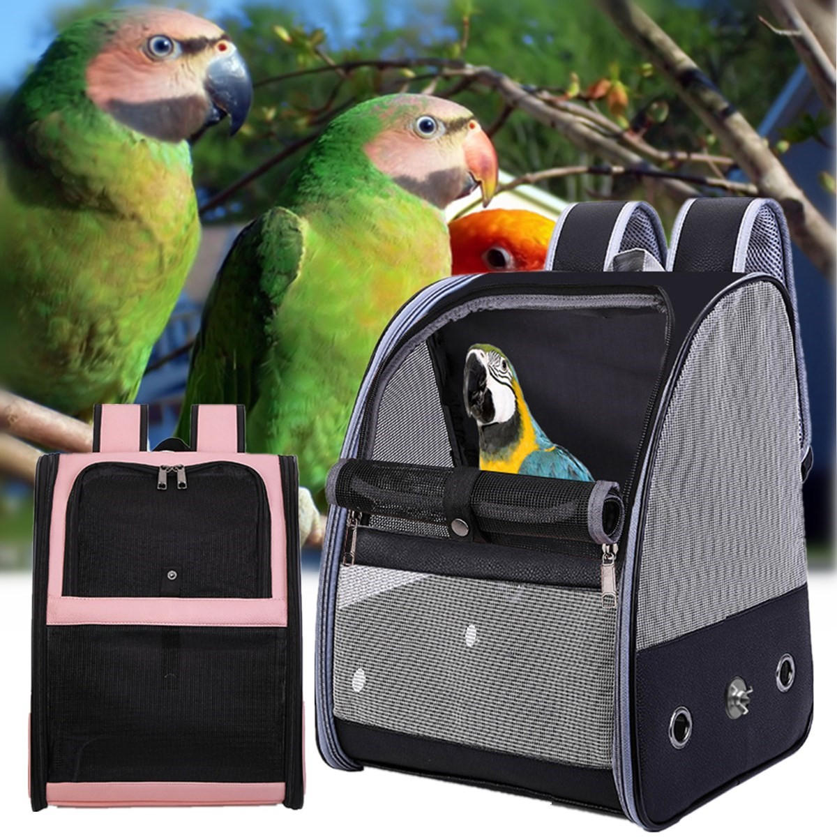 bird travel carrier for sale