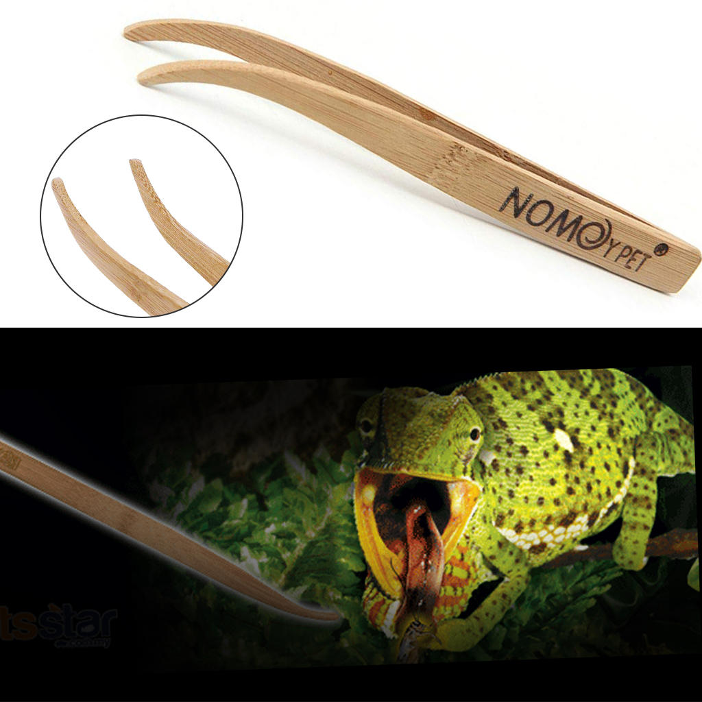 

NOMO Reptile Bamboo Angled Terrarium Feeding Tongs Tweezers Feeding Pliers Tool