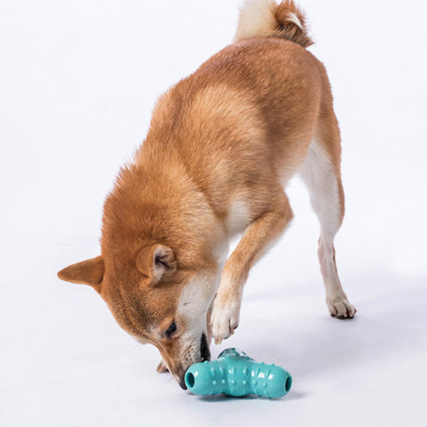 

Jordan & Judy Pet Toys Водонепроницаемы Собака Кот Вокальная игрушка Устойчивый к укусам зуб Чистый интерактивный питоме