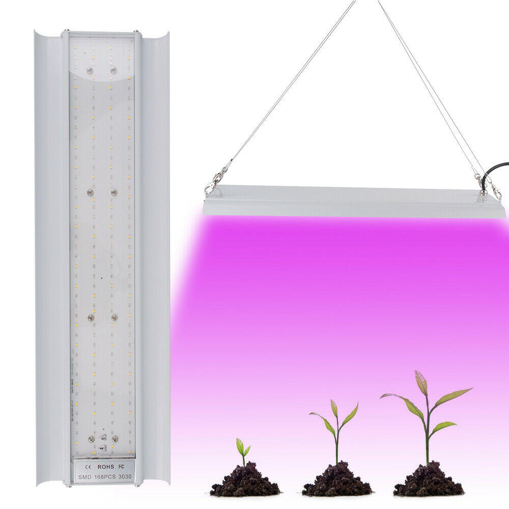 100W LED تنمو ضوء الطيف الكامل مصباح داخلي الخضار نمو النبات الخضار
