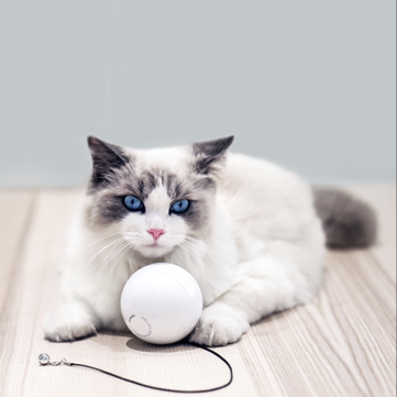 HomeRun Smart Interactive Pet Toys Automatic 360 Degree Self Rotating Ball Toys with Bell Built-In Spinning Eye-Protection LED Cat Toy From XiaoMi Eco-system